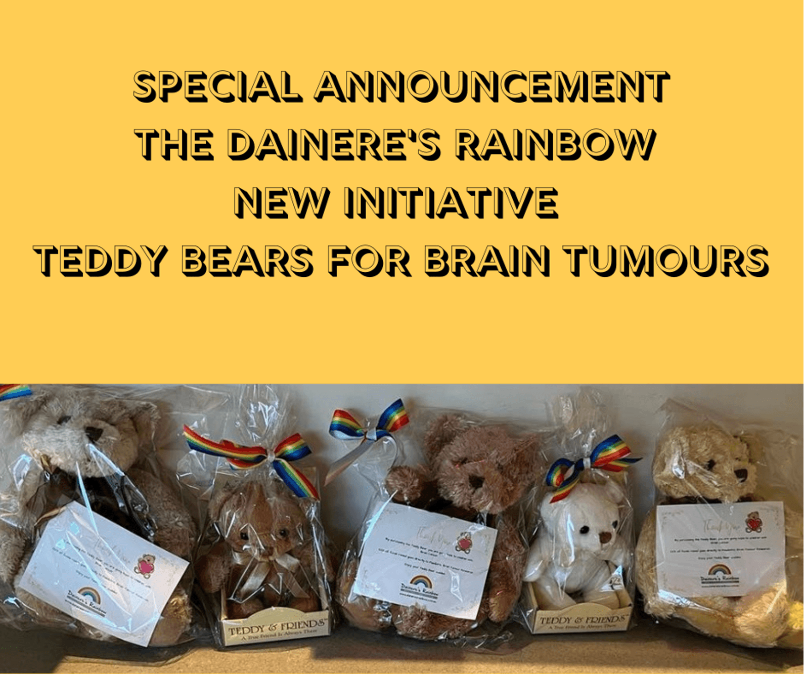 Teddy Bears For Brain Tumours Is A Beary Special New Awareness And Fundraising Initiative From The Dainere
